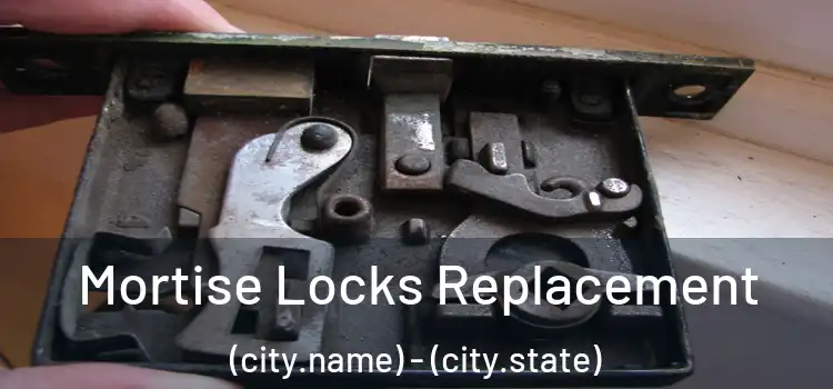 Mortise Locks Replacement (city.name) - (city.state)